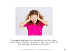 Load image into Gallery viewer, Sensory Overload Social Story